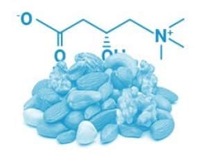 l-carnitine