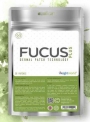 Le patch Fucus +, l’allié minceur à mettre sur la peau